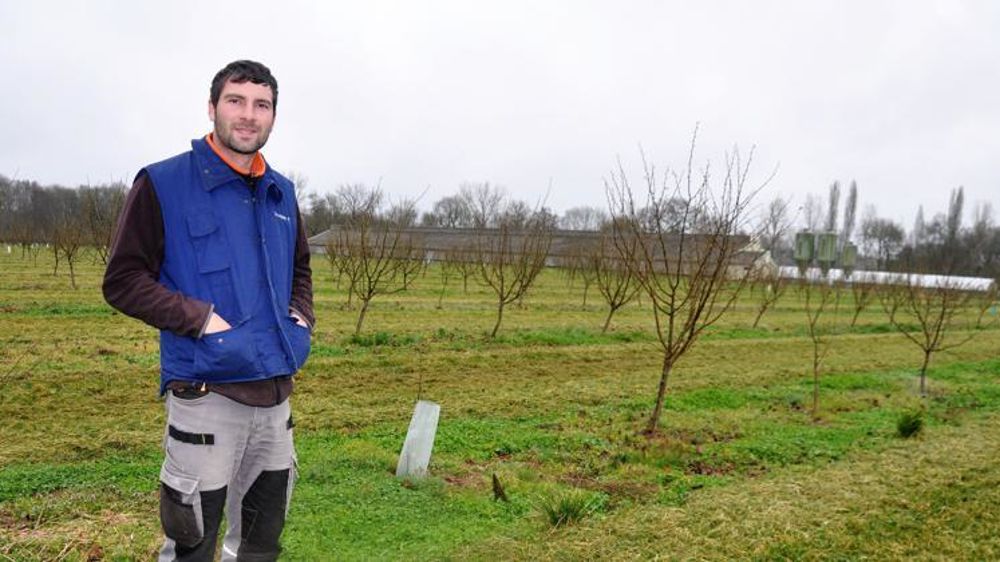 Installé depuis l’automne 2019, Clément Bonneau, âgé de 26 ans, a planté 22 hectares de noisetiers. © Claude-Hélène Yvard
